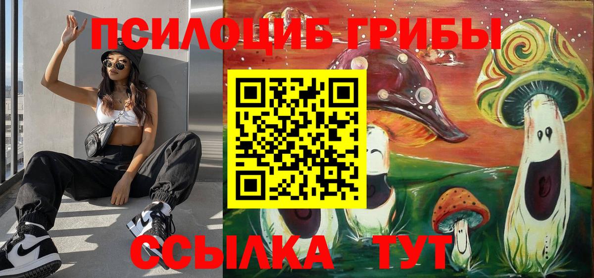 Галлюциногенные грибы Psilocybine cubensis Карпинск
