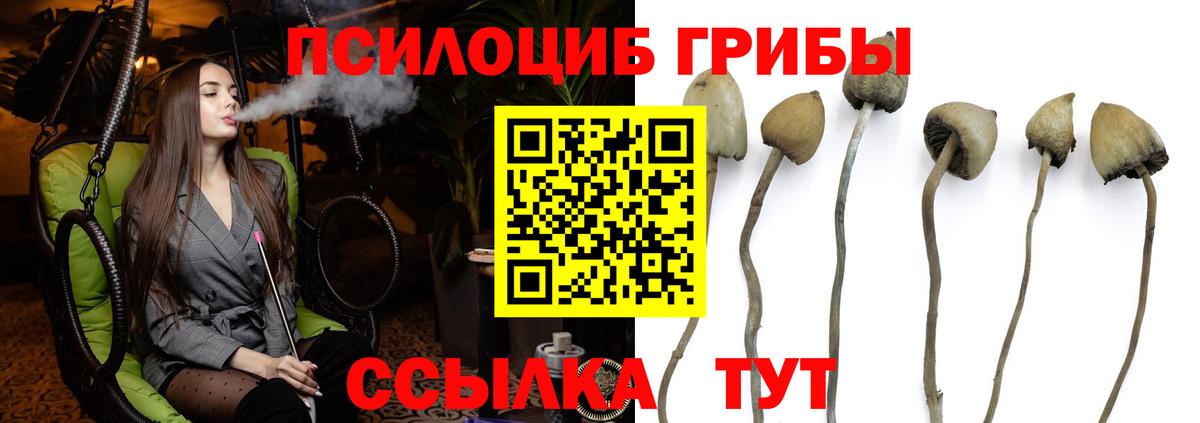 Карпинск  Псилоцибиновые грибы прущие грибы  Вход с VPN 